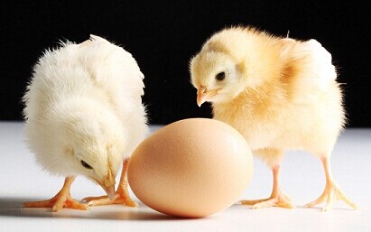 4月1日愚人节最愚弄人的五大生肖 避免自己被整蛊 揭秘愚人节十三招整蛊心理